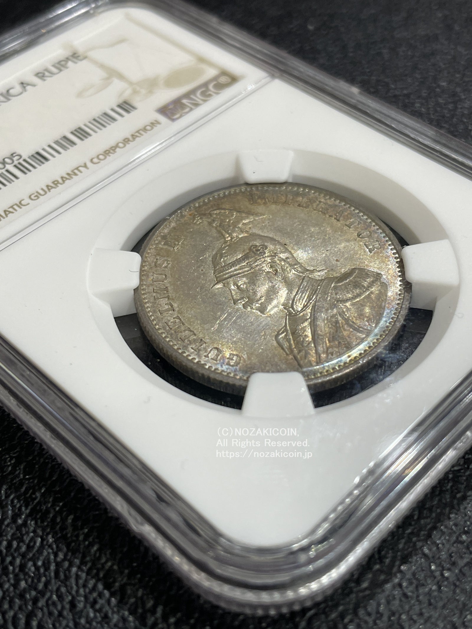 IMG_6203_1600x.jpg?v=1705040722