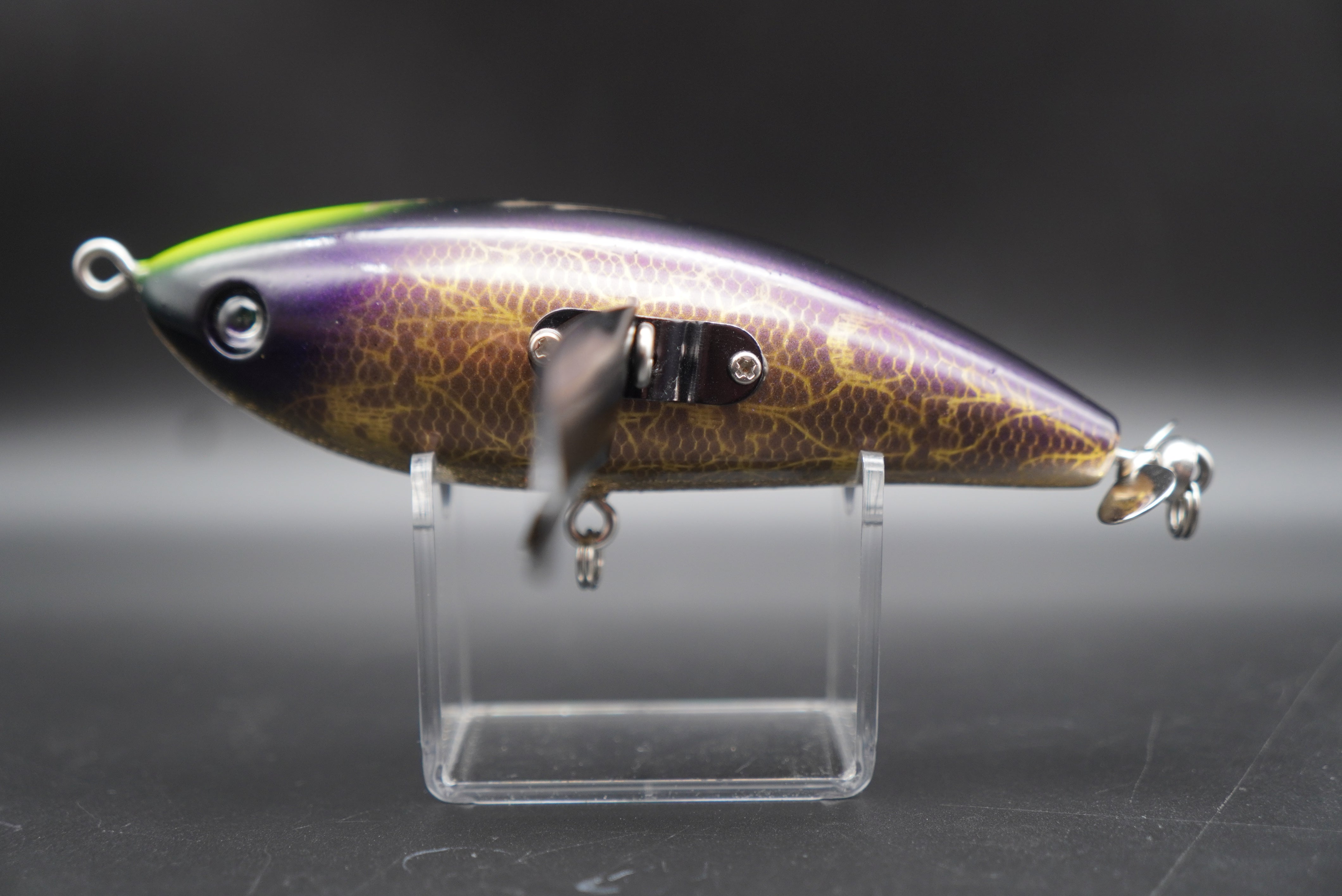 エイリアンヘッズjr CC(主オリジナルカラー) – 主 -NUSHI-