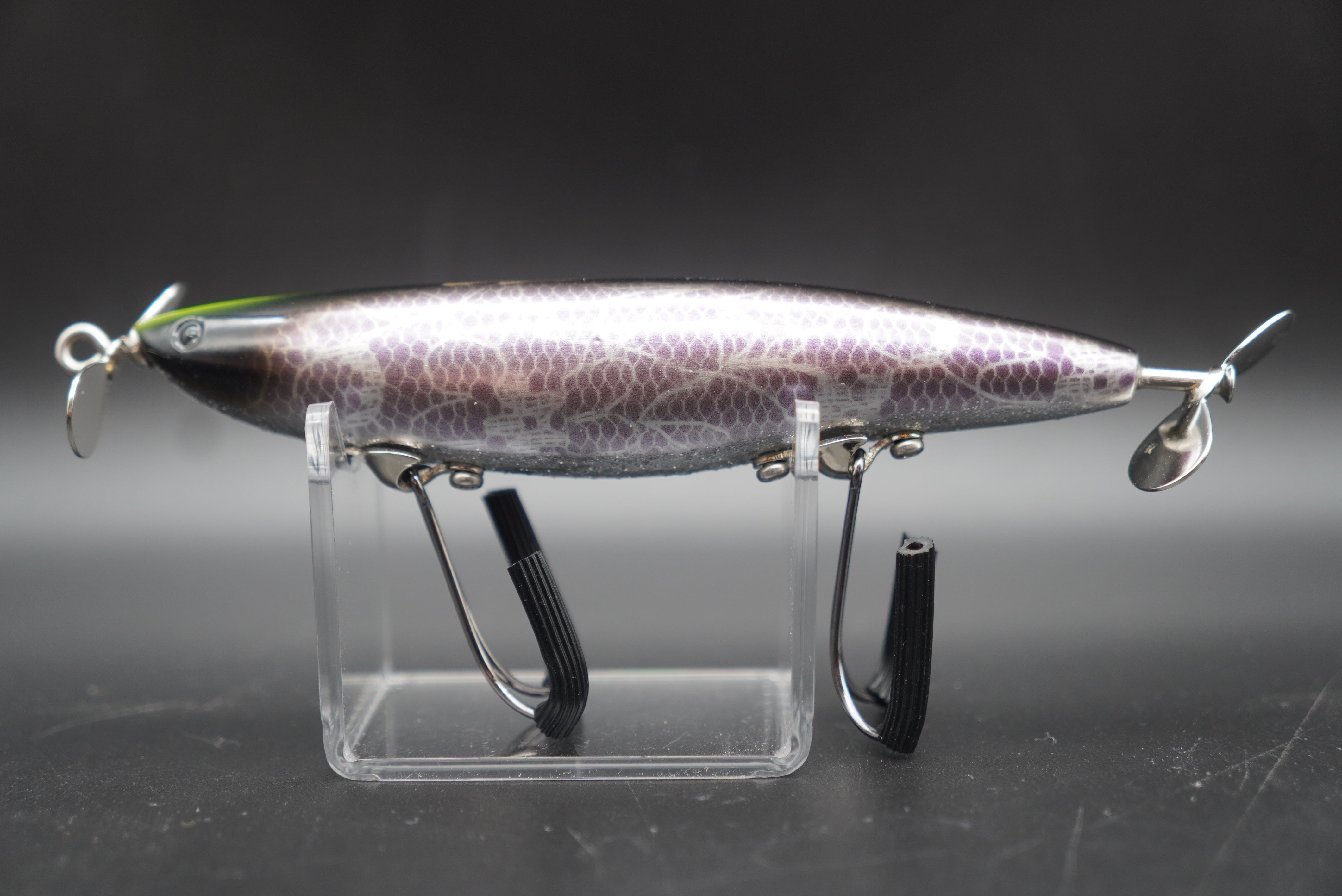 エイリアンヘッズ ガリテトラ(ショートペラ/サーフェスモデル)主