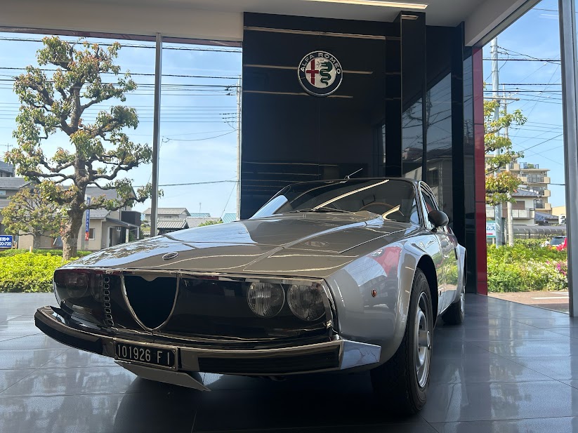 1600 ジュニアZ 展示しております✨｜アルファ ロメオ浦和スタッフ