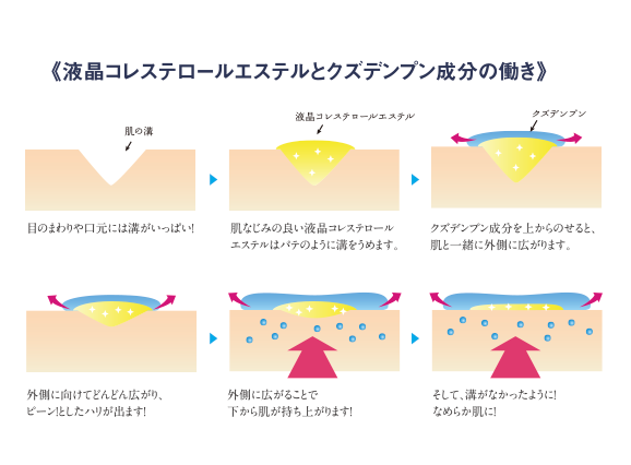 アイセラムインパクトビジュー - ウフドール OEUF D'OR 【公式】