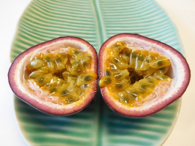 OKINAWAフルーツらんど - 沖縄ツアーズ