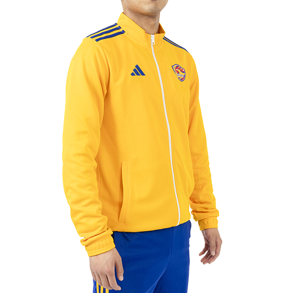 ベガルタ仙台 イエローホームジャージ 33 HAYASHI み*様 ベガルタ仙台