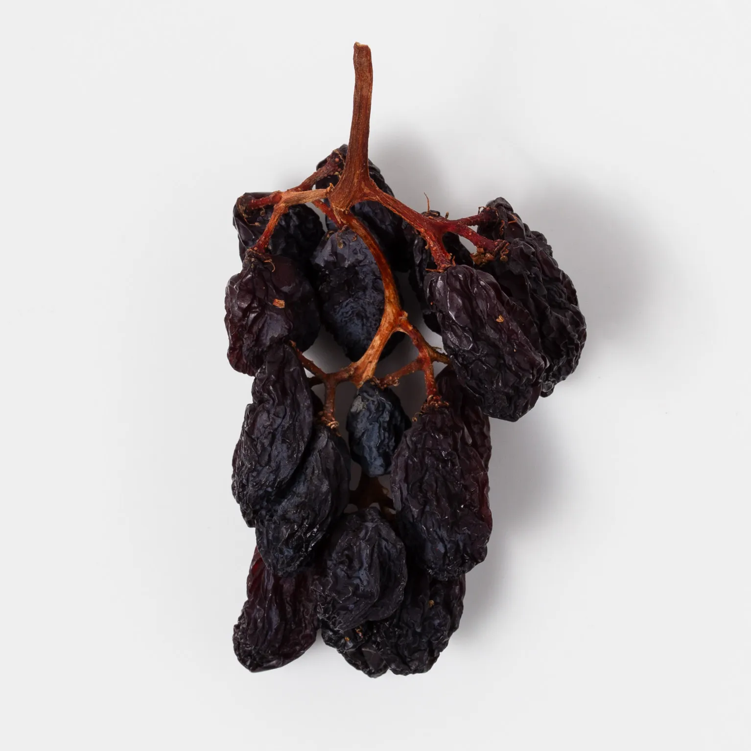 チリ産枝付きレーズン 500g : フルーツ・野菜 | スモールビジネスの