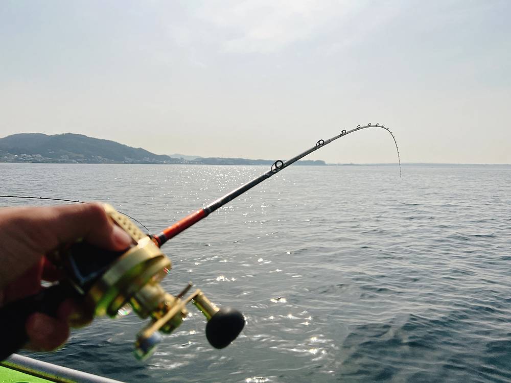 釣果倍増！船マゴチ専用竿（餌釣り）のおすすめ紹介 | ORETSURI