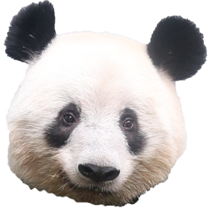 パンダ自身」公式サイト | 光文社のパンダ専門誌 | panda.jisin.jp