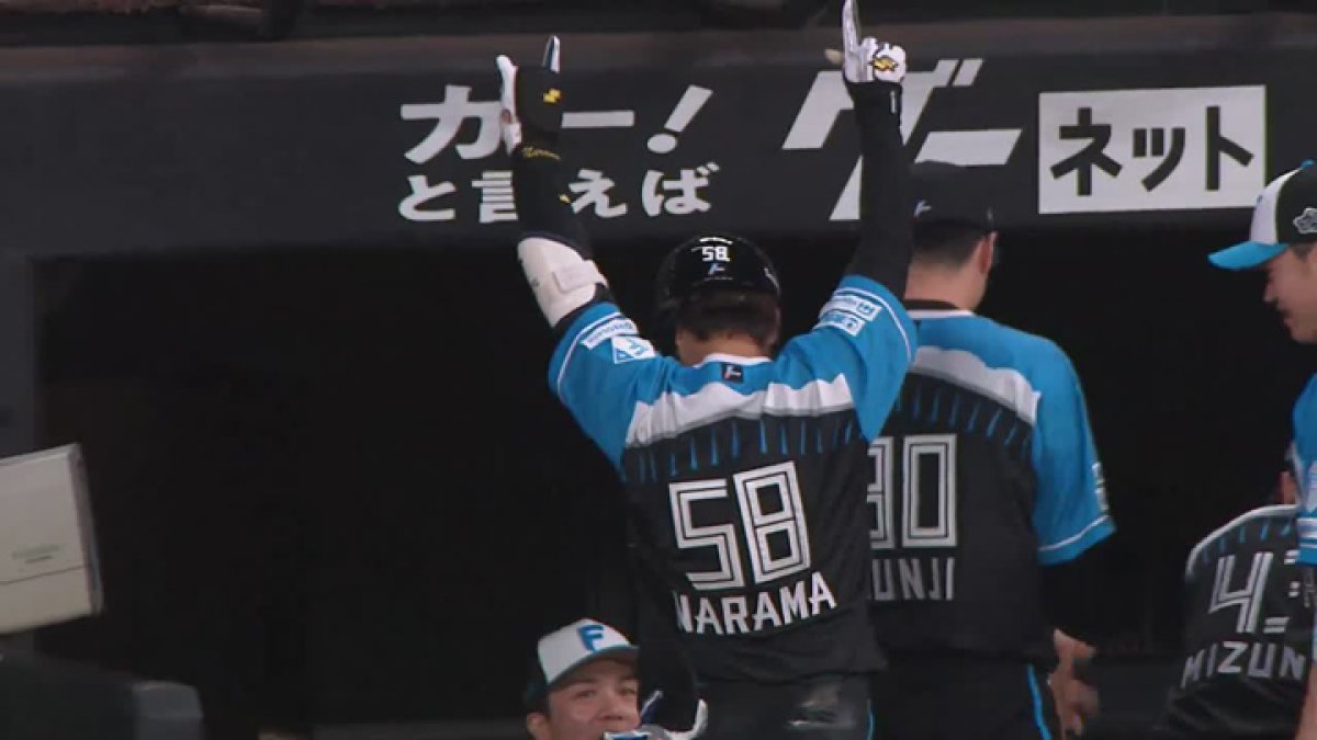 北海道日本ハムファイターズ 奈良間 選手 実使用 バット 支給品 野球