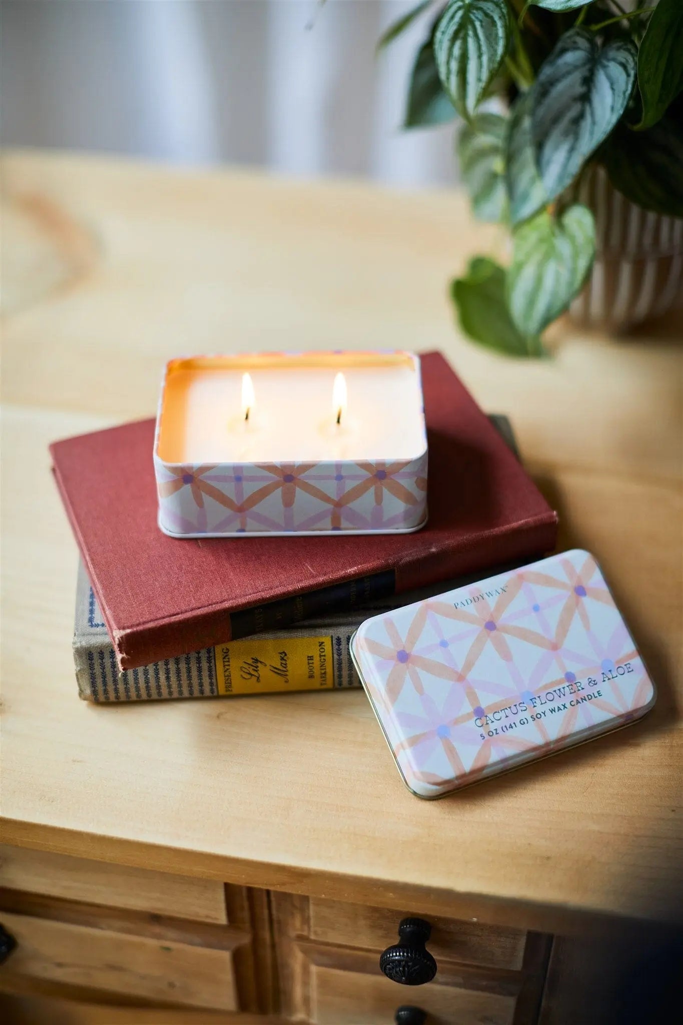 Cactus Flower & Aloe - 5 oz Tin Candle - Paddywax