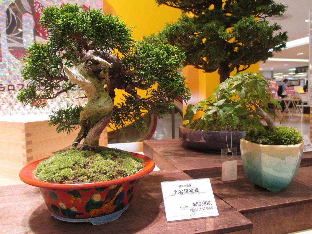 大宮ロフトでは本日より、加賀百万石・石川県の伝統磁器『九谷焼』の