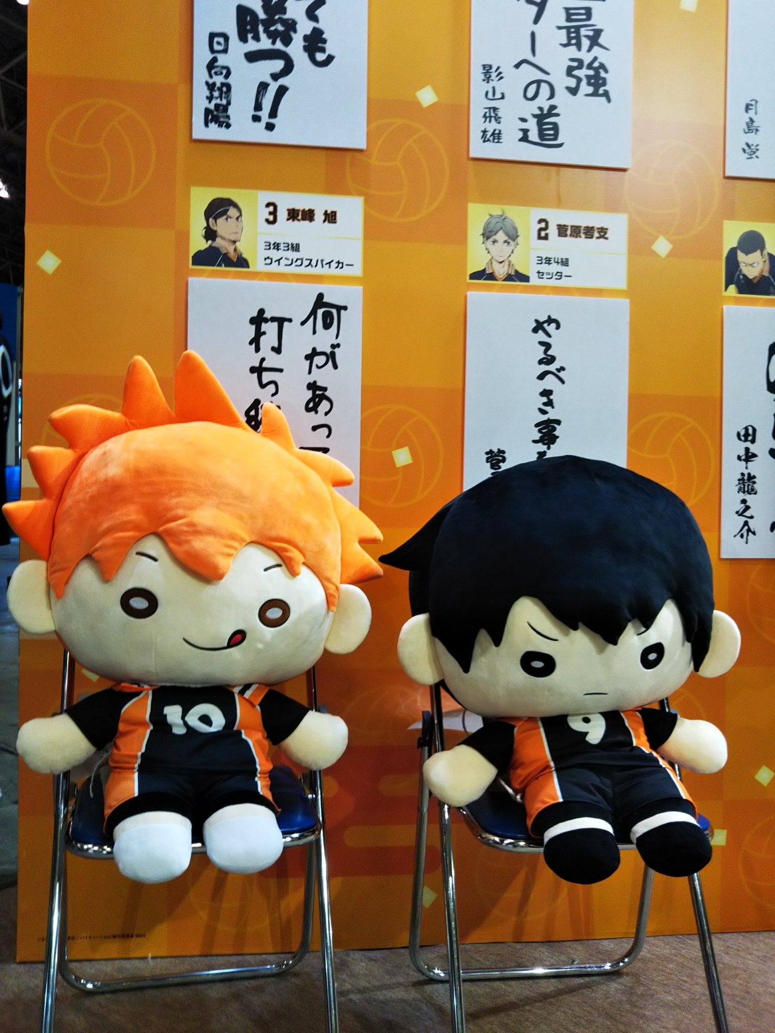 ハイキュー ジャンプフェスタ限定 にとたん ぬいぐるみ （私服） 日向