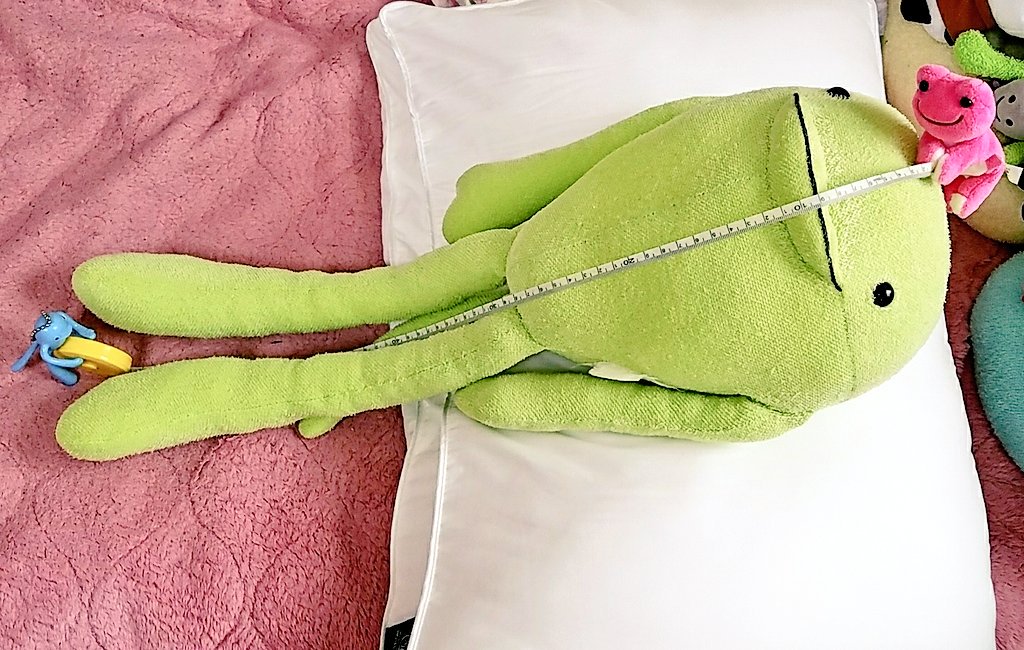 改めてご紹介を！ 私の相方、みどり😉 昔あったすぽるとという番組