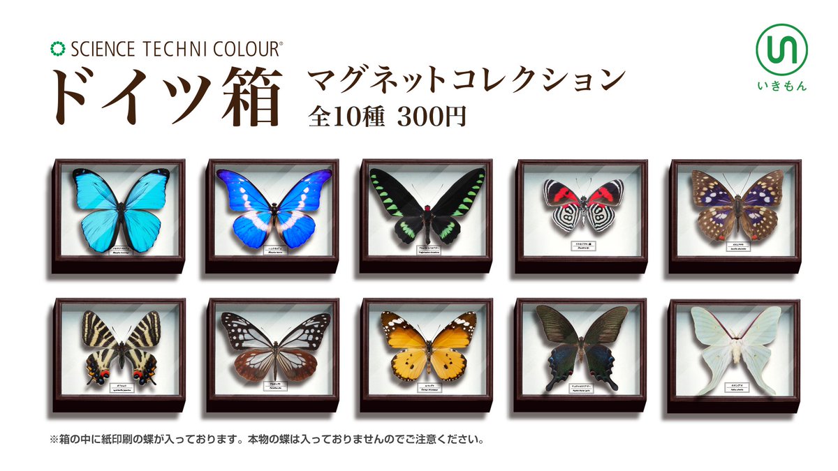 新商品】 7月からの延期でお待たせしました🙇‍♂️ ドイツ箱マグネット