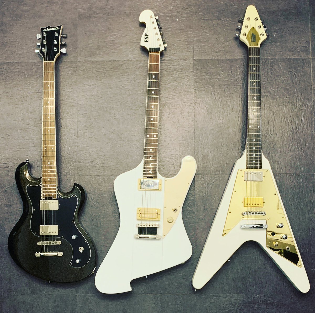 ESP edwards cygnus LEDAモデル シグナス ESP edwards cygnus LEDA