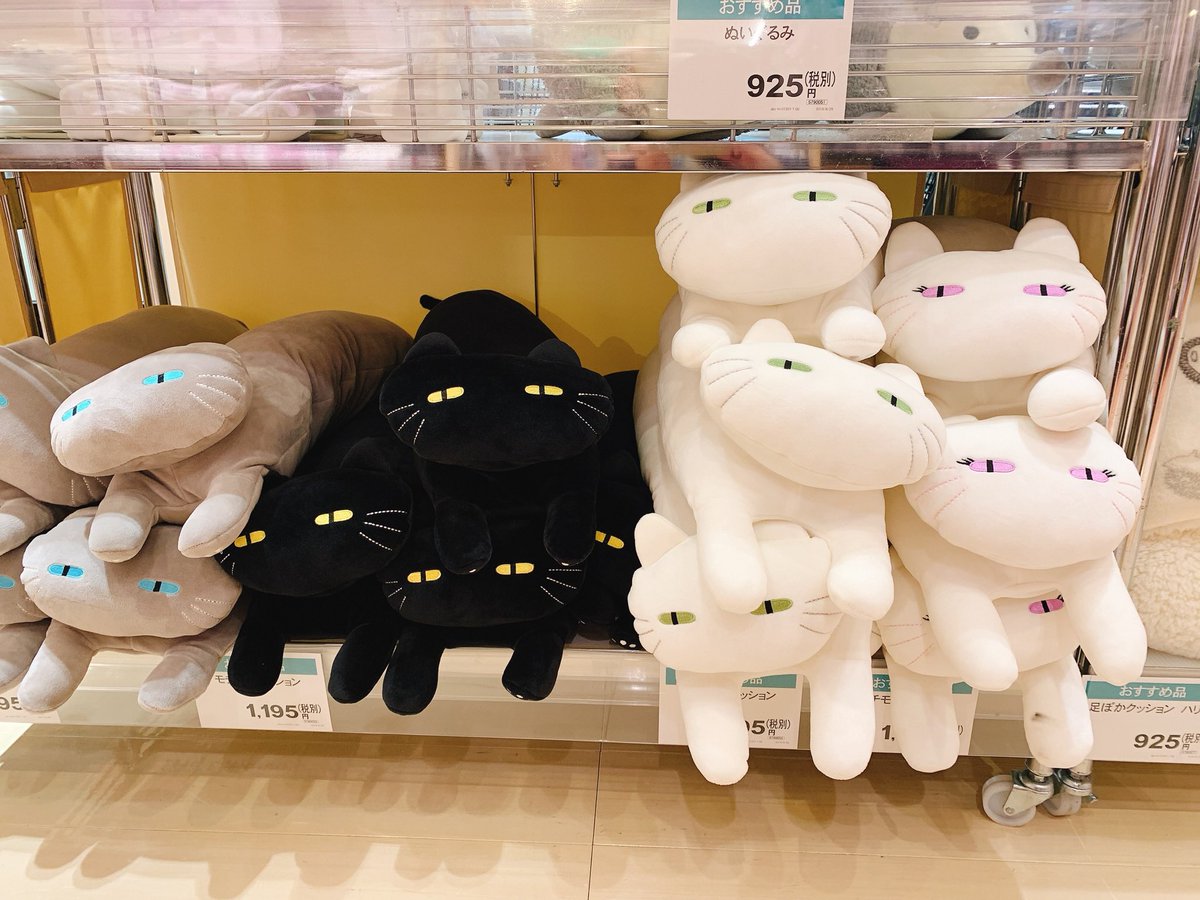 おはようございます開店してます！ #ニトリ #デコホーム の #猫 に白猫