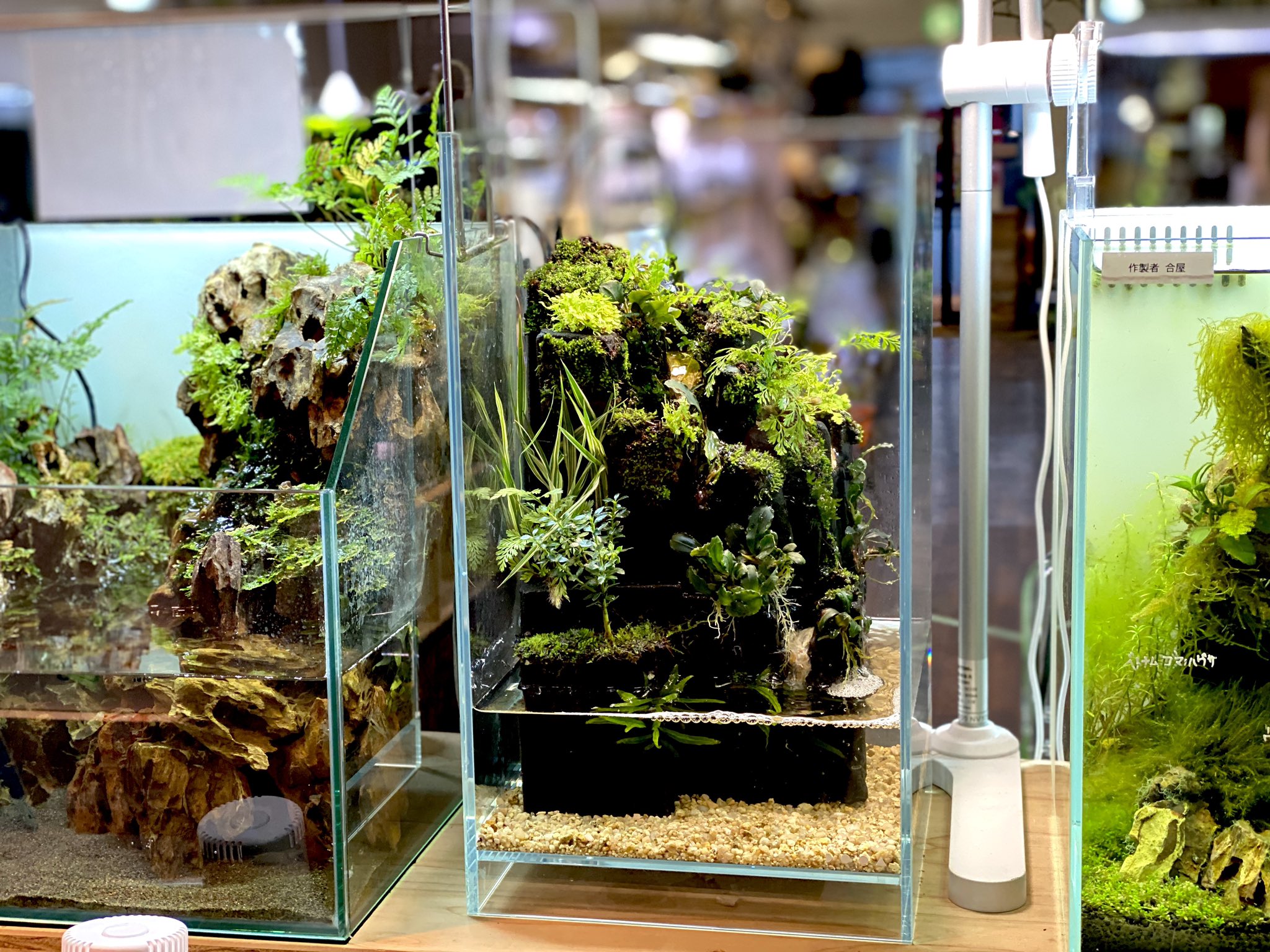 ADA DOOA ネオグラスエア 水槽 セット