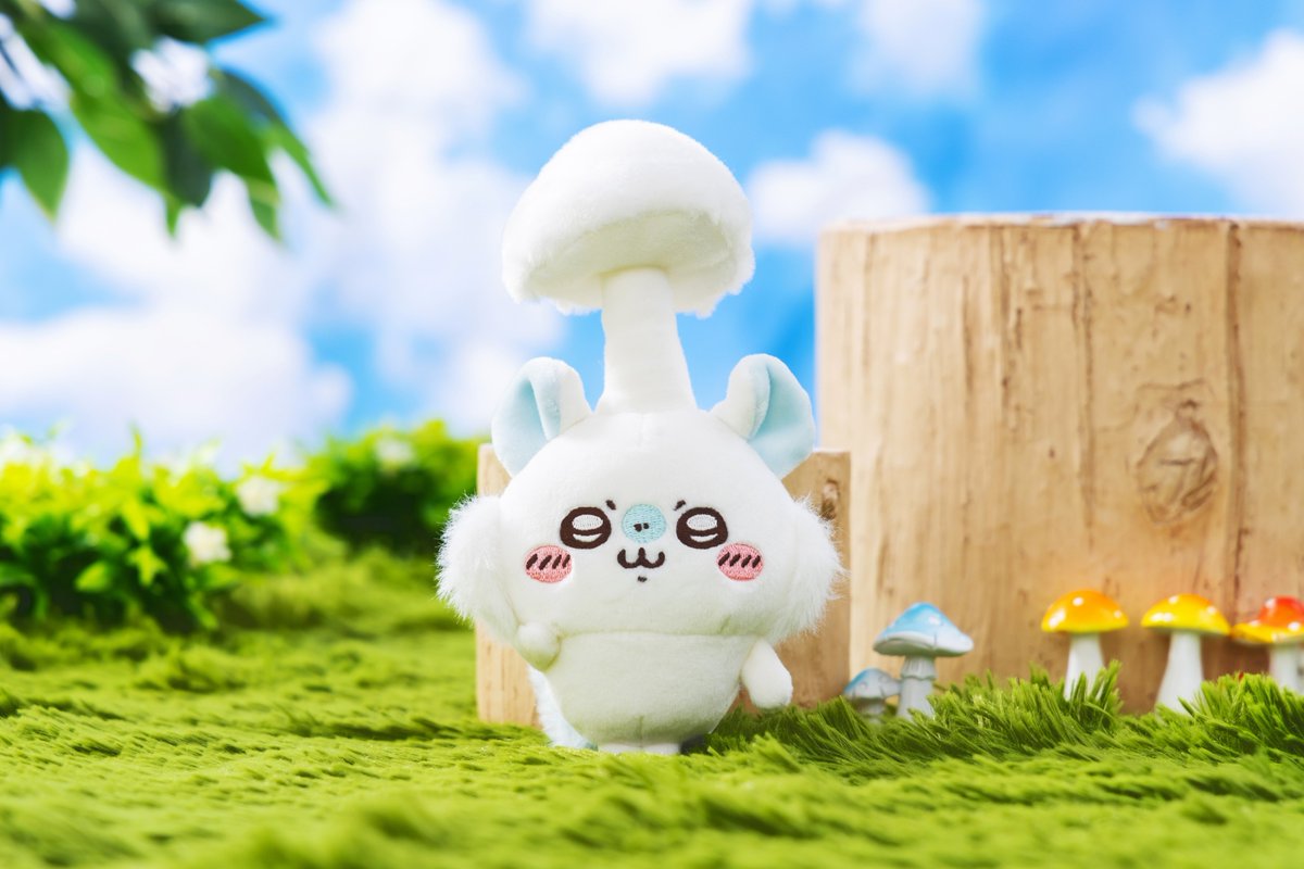 F8nSUhXbQAAL-TP.jpg?format=jpg