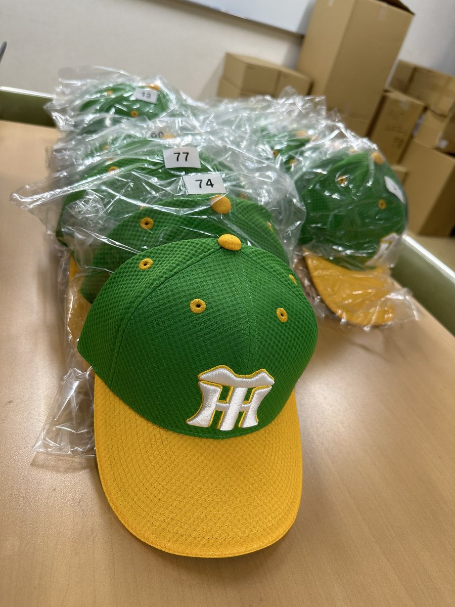 今日のロッテ戦は『Family with Tigers Day』！選手たちが緑色の