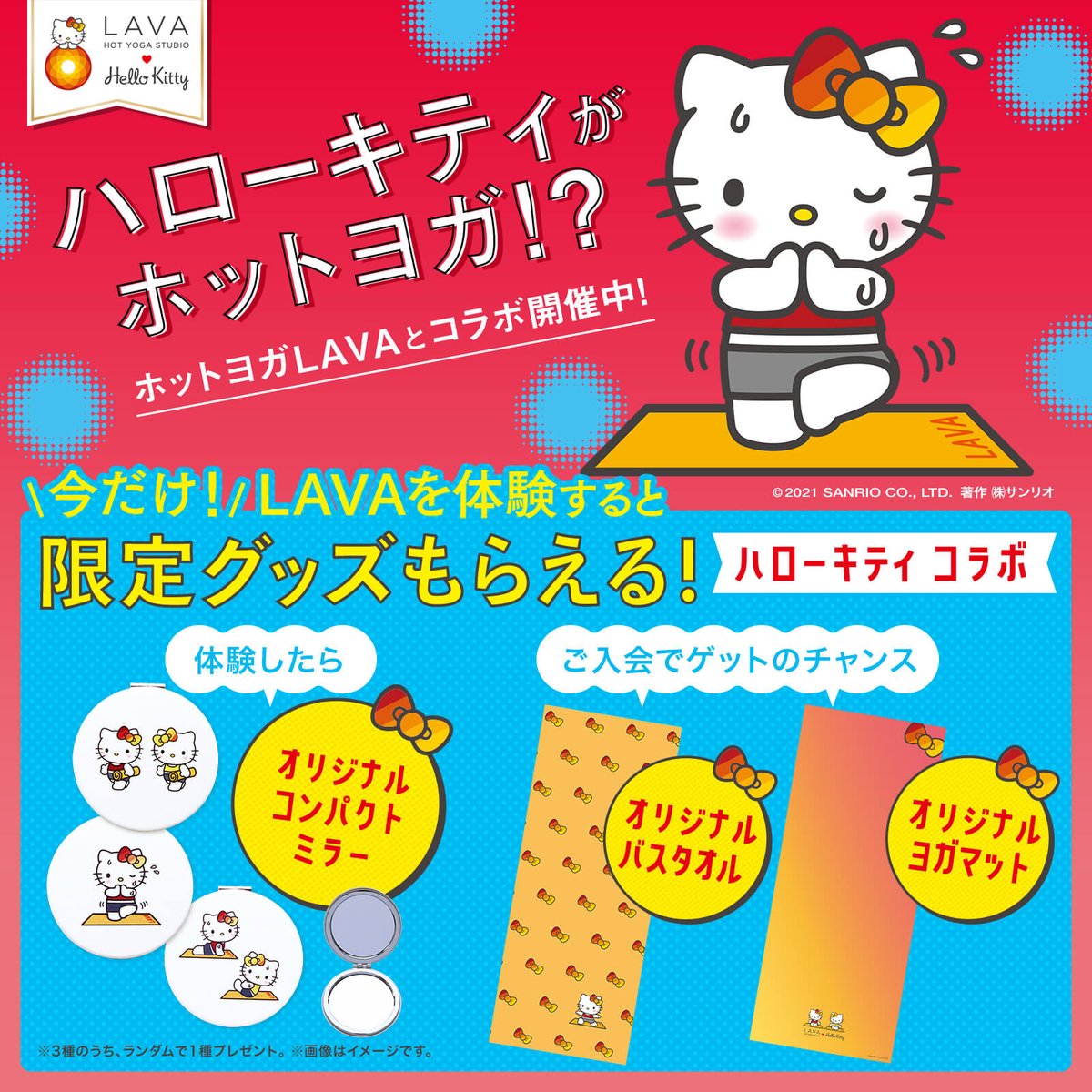 スポーティングベアーズ応援隊長 (@sporting_bears) / Posts / X