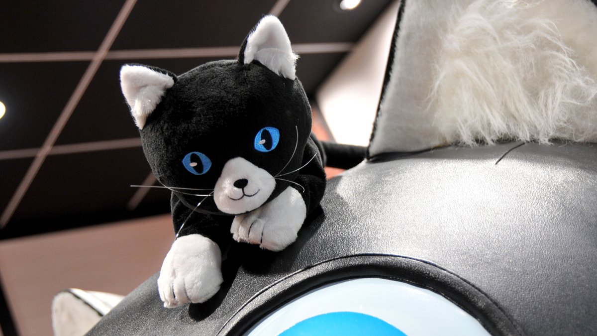 ペルソナ25周年 記念グッズ第二弾予約受付中！】 猫の姿のモルガナを