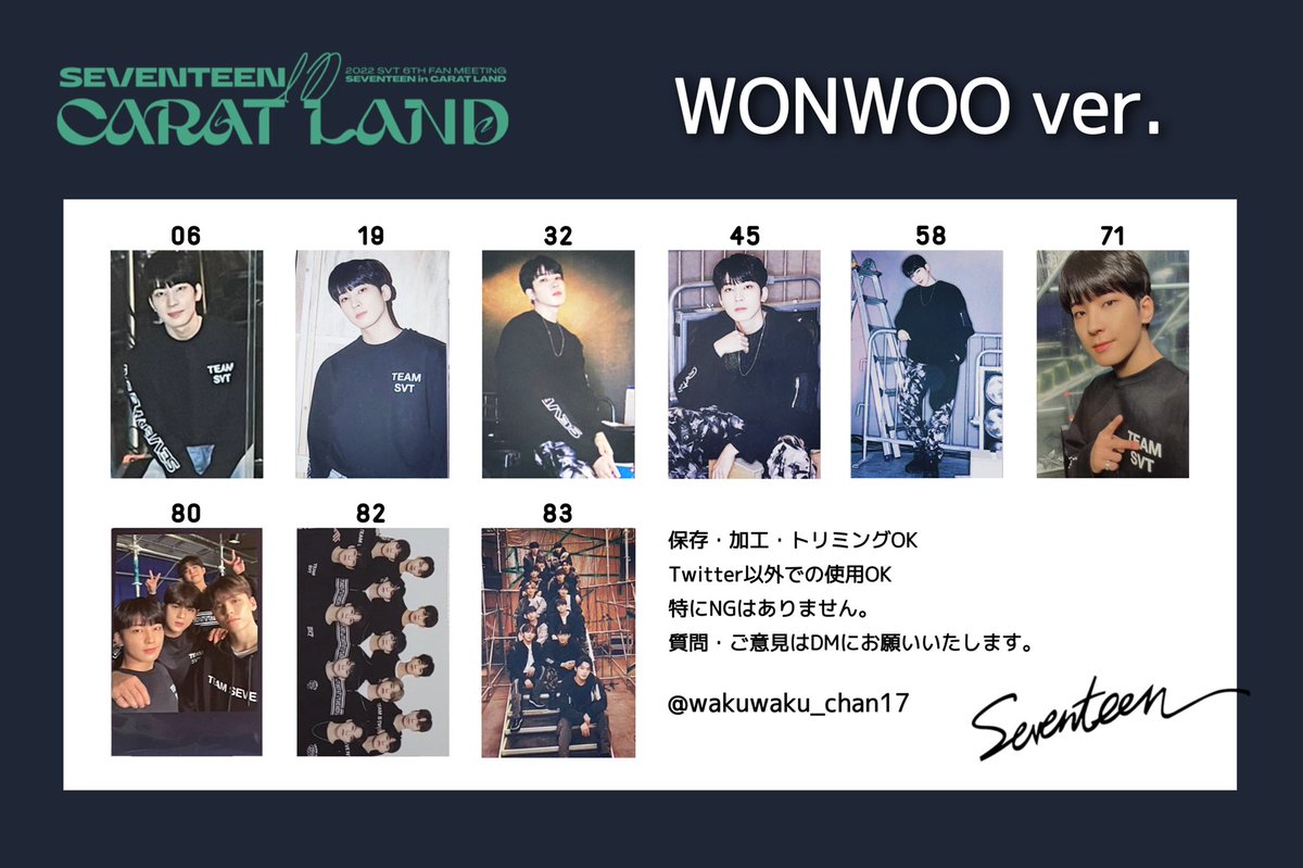 SEVENTEEN セブチ CARAT LANDケレン トレカ 一覧 CaratLand