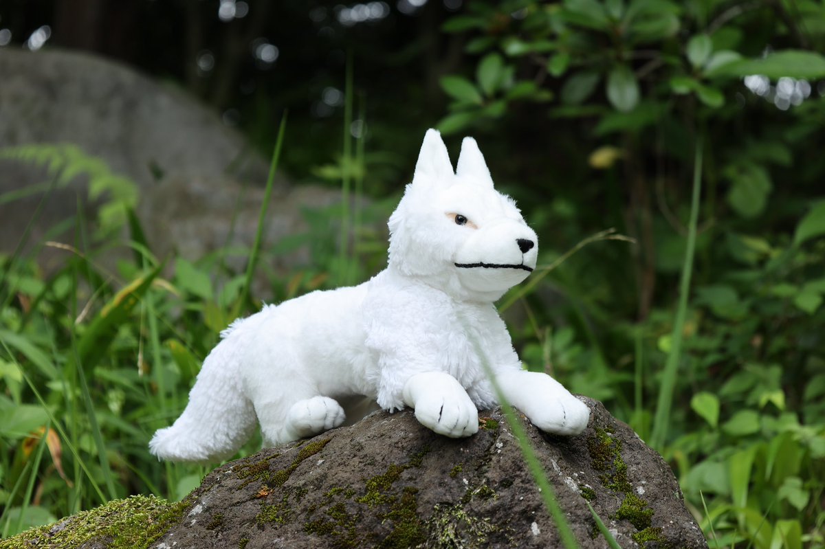 🌿もののけ姫25周年◇第一弾🌿 まるでこちらに話しかけているような