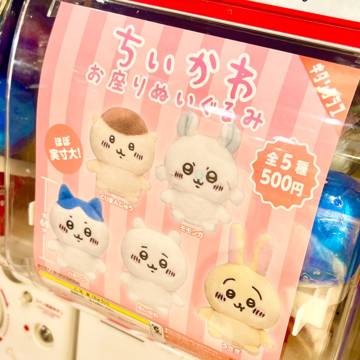 ちいかわらんど大阪梅田店 ＼✨ガチャガチャ✨／ 『#ちいかわ お座り