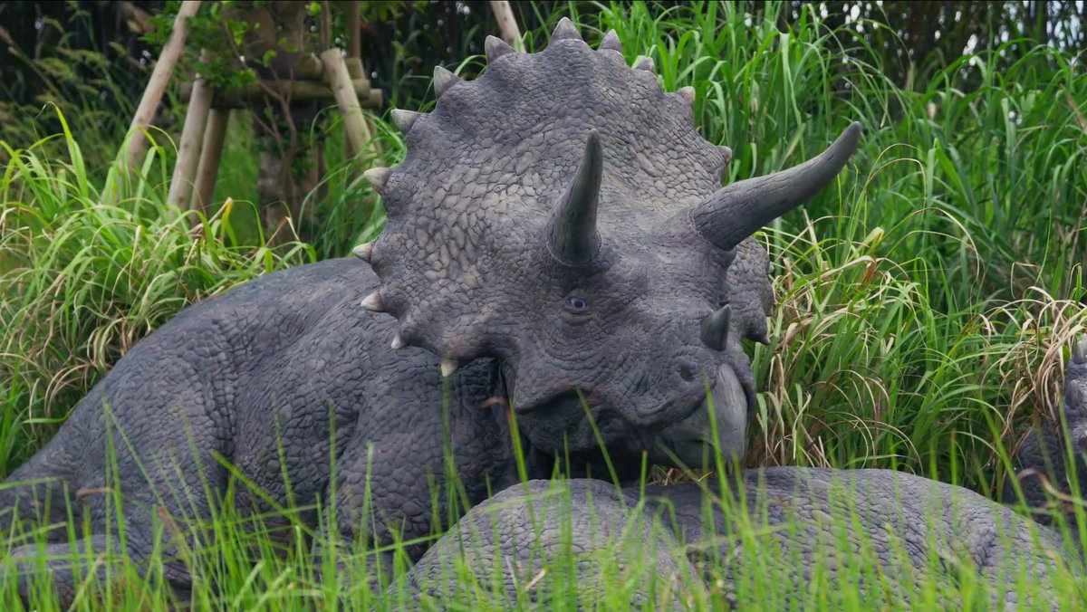 スリルやスピードではない もう一つの“恐竜との出会い方