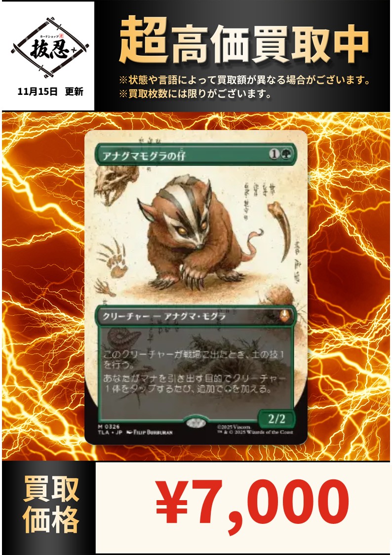 MTG アナグマモグラの仔 Badgermole Cub 拡張版 日本語 アナグマモグラ