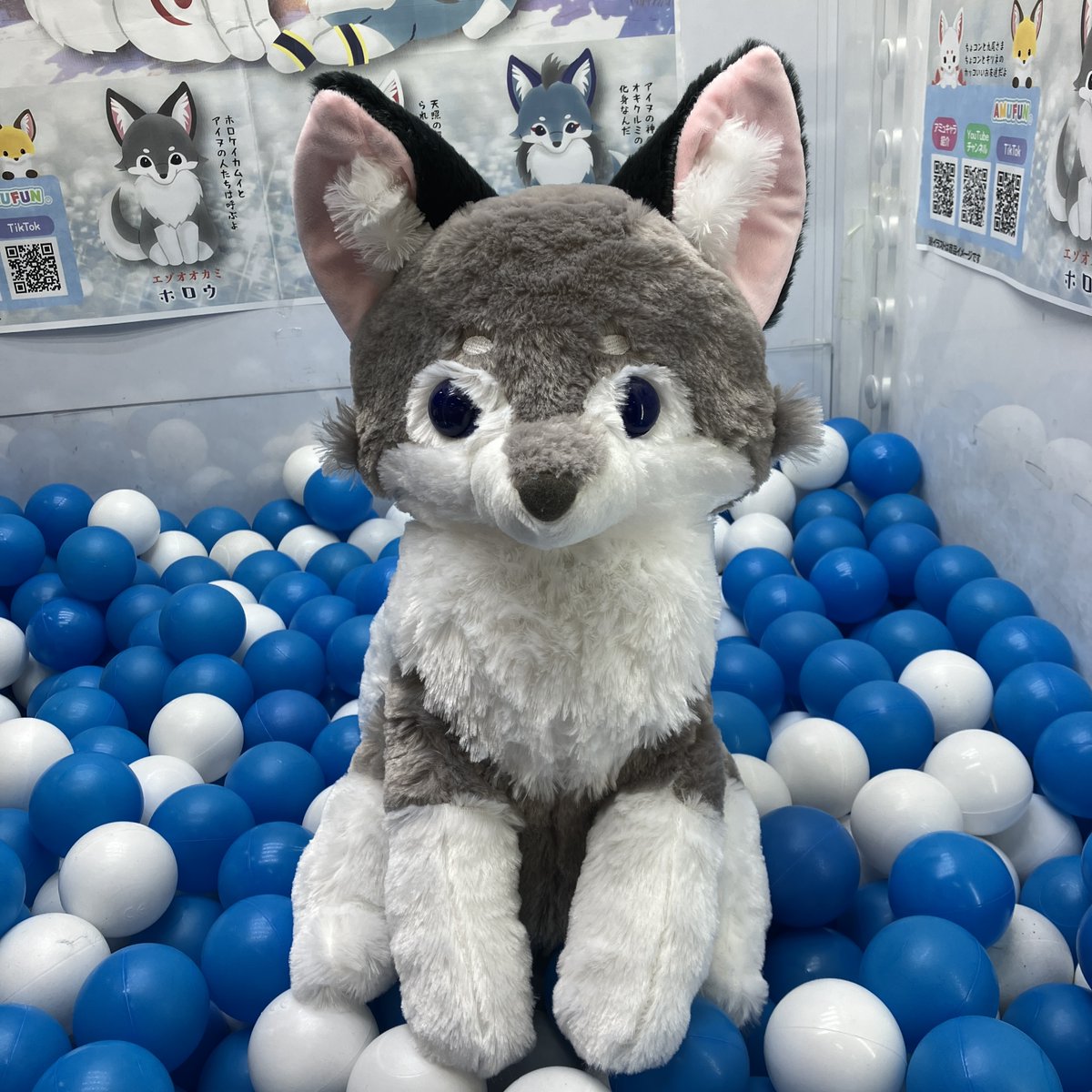 ❣本日の新景品❣ 『アマテラスのオオカミ』がウルトラBIGぬいぐるみに