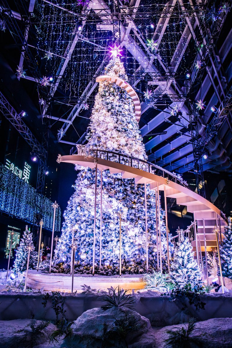 クリスマスイルミネーションがXで輝く冬の風物詩