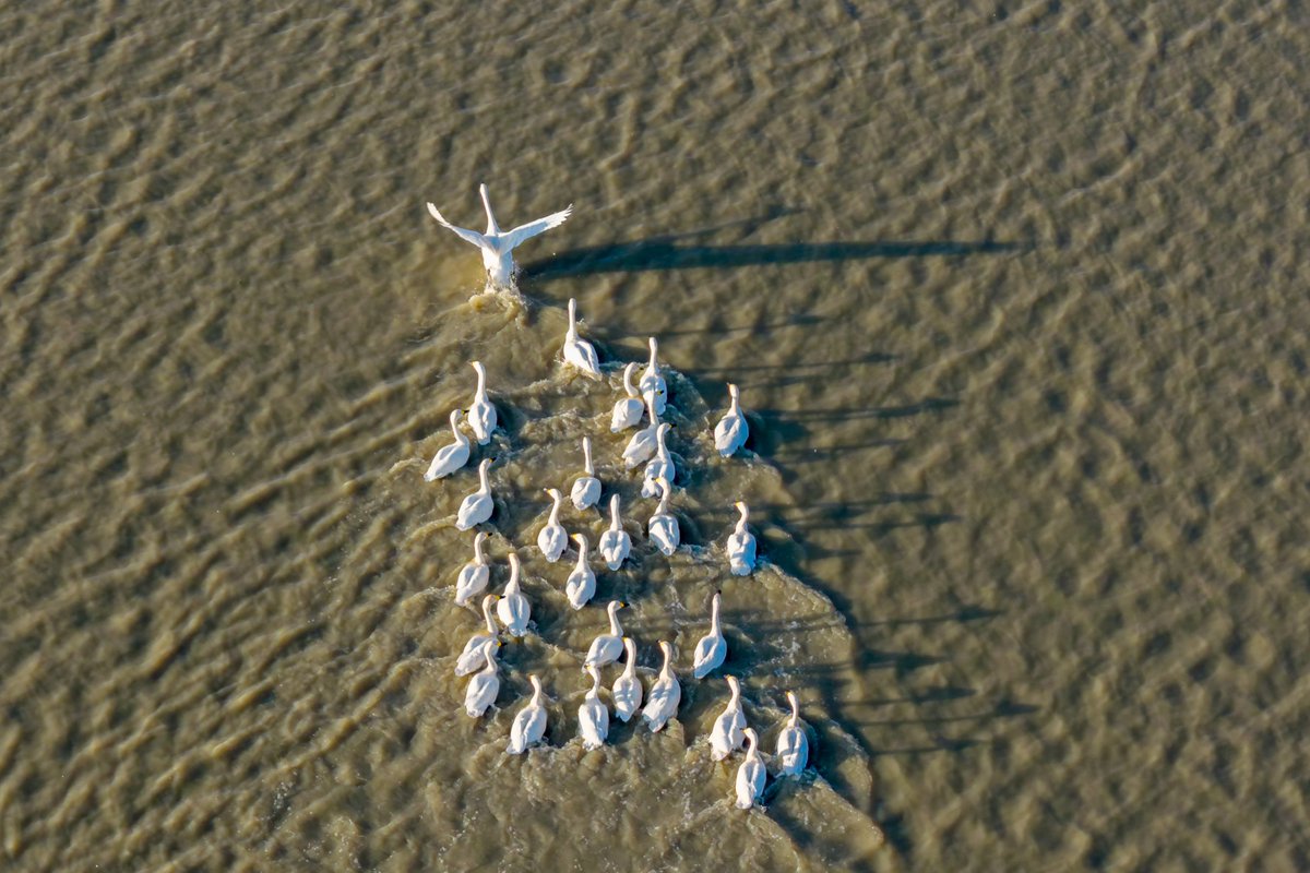 おはようございます☀️ 黒竜江・杜爾伯特で、南へ旅立つ前の小さな
