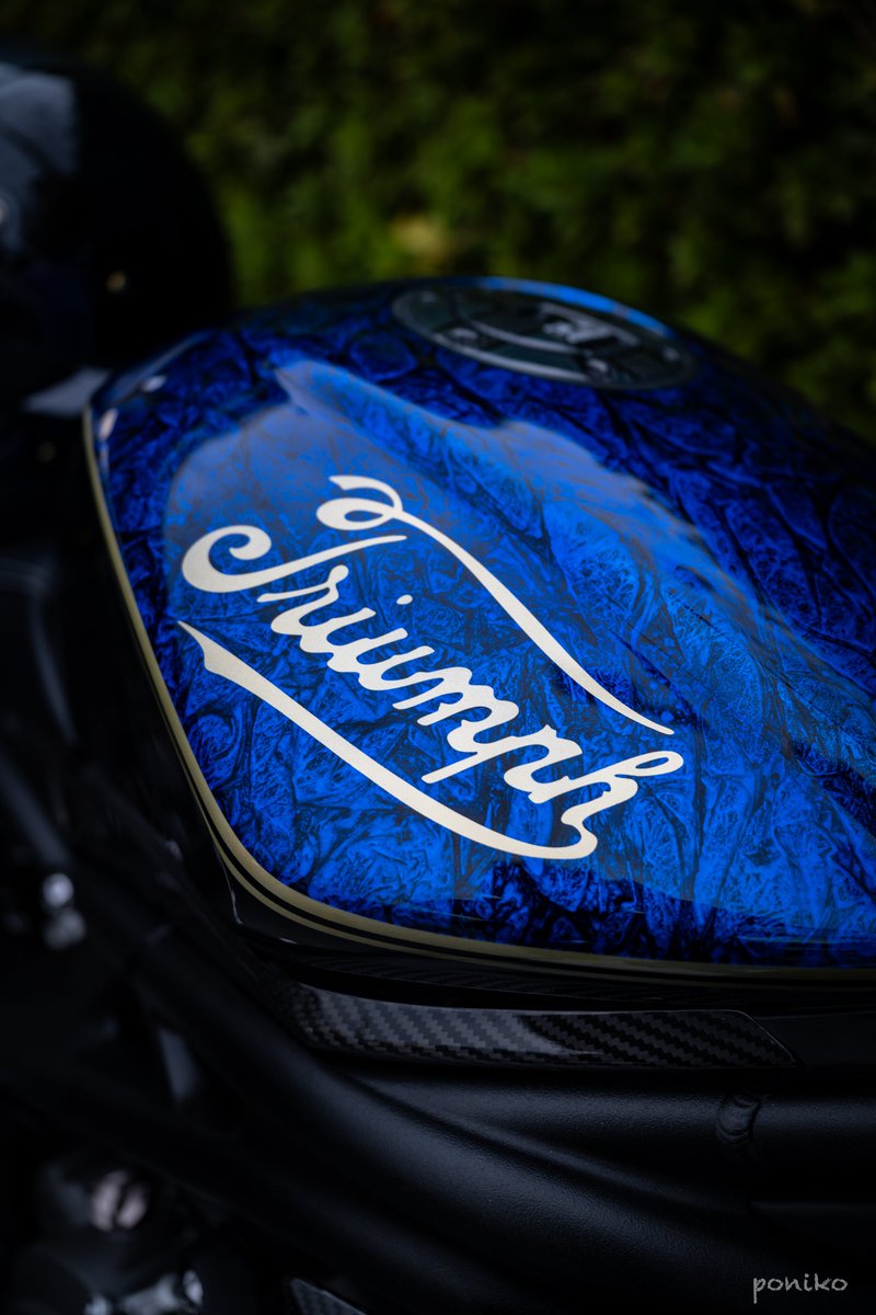 シケ (@Shike_5625cc) / Posts / X