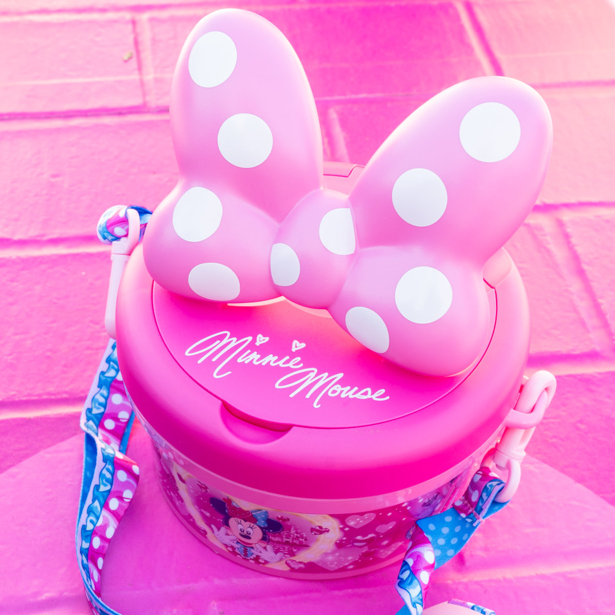 大きなリボン付き！ 東京ディズニーランド 「ディズニー・パルパルーザ