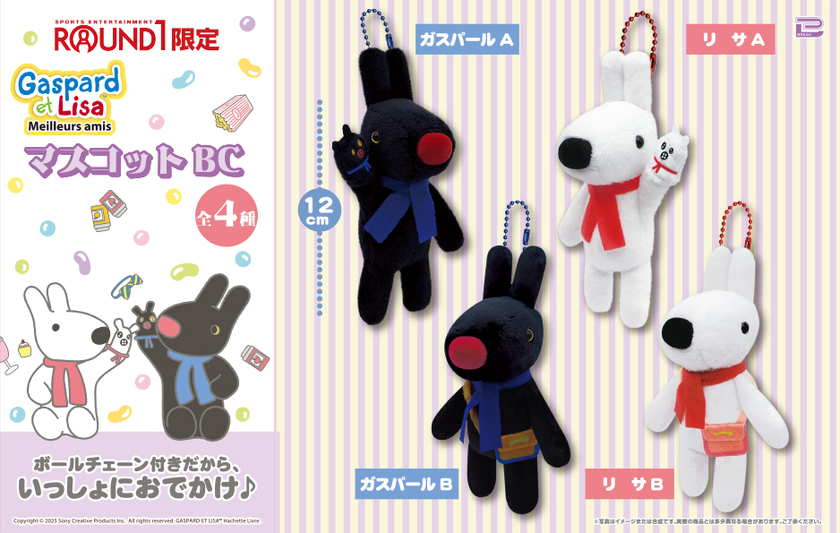 🖤━━━━━━━━━━━━━━━━🤍 ┃ とびっきりキュートなパリの