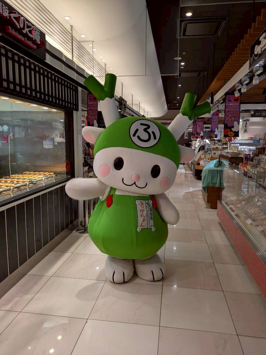 ふっかちゃんページです！2点セットアップ ふっかちゃんページです！2