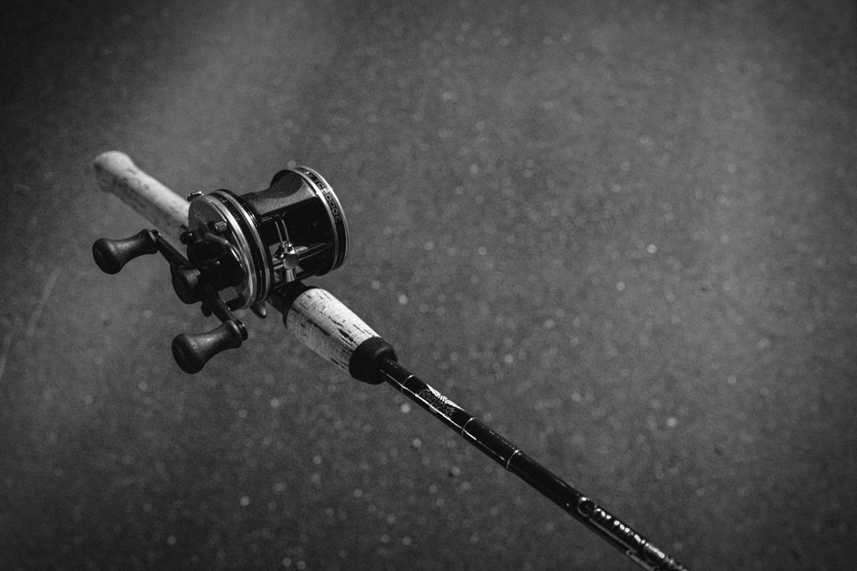 WOLF DOWN ® (@wolfdown_OA) / Posts / X