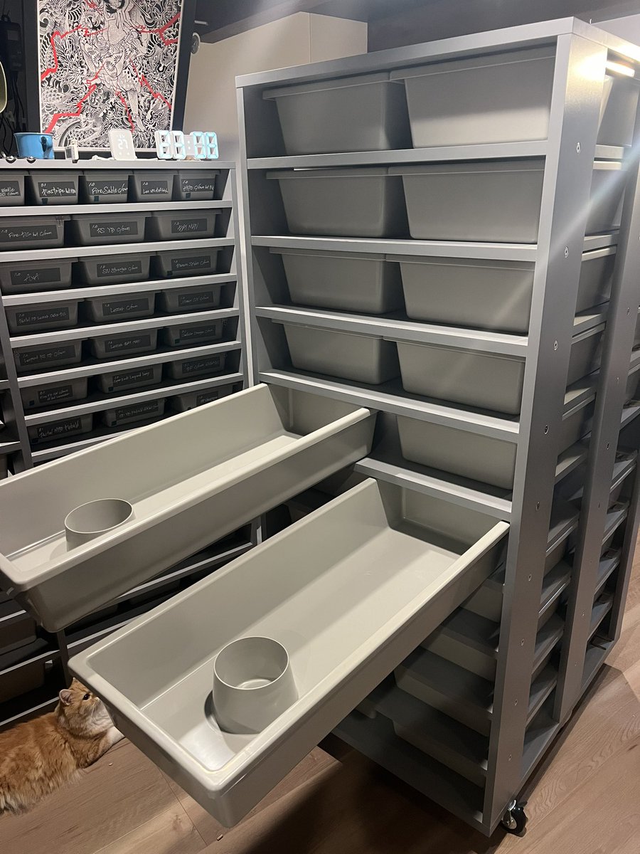 06snakeracks (@06snakeracks) / Posts / X