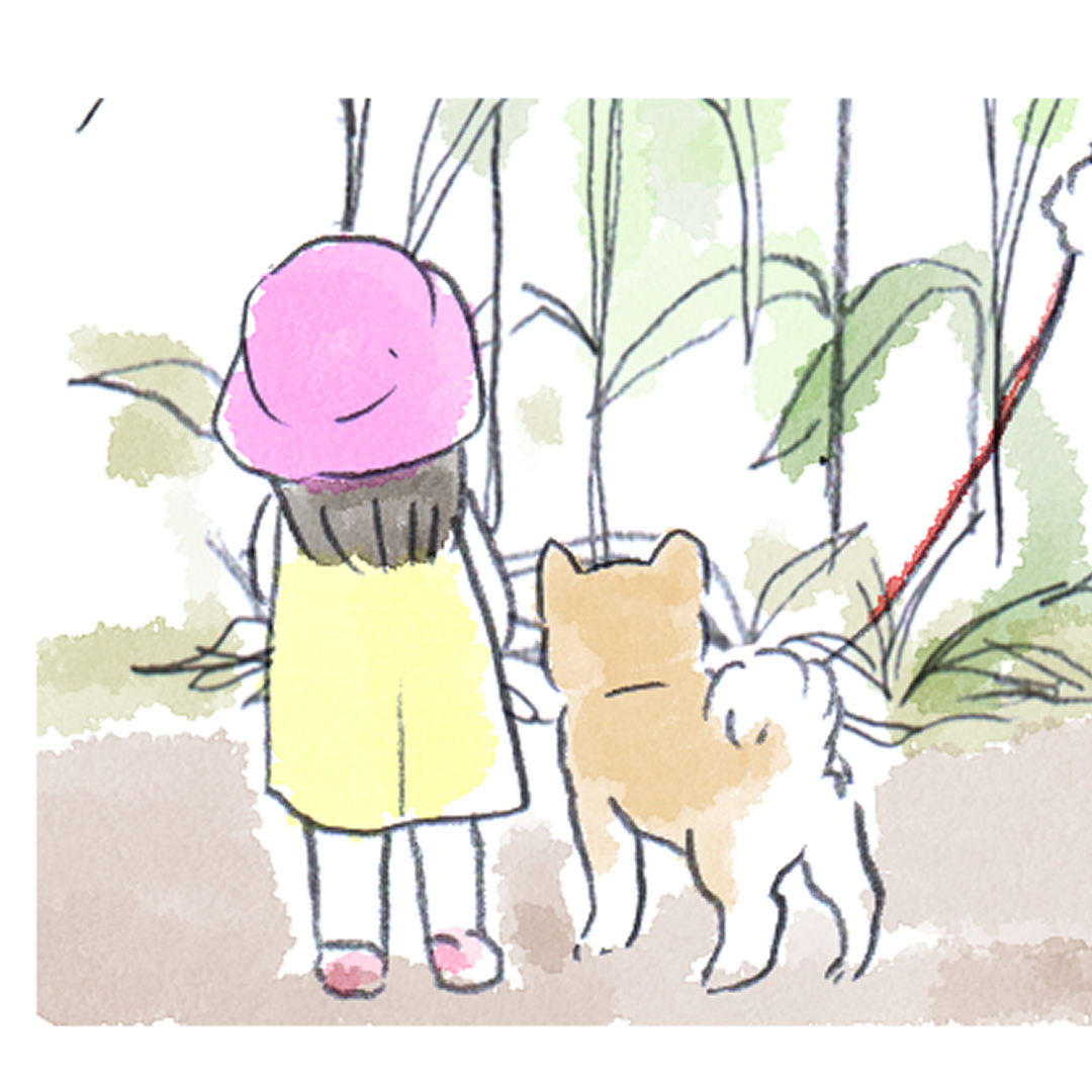 柴犬タロさん (@sibainu_tarosan) / Posts / X