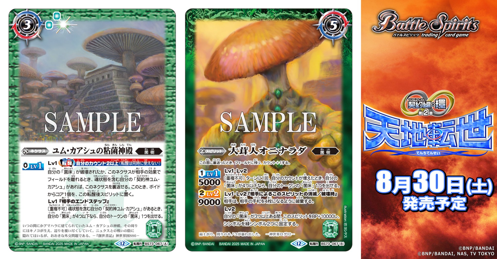 天地転世/菌樹/ユム・カアシュ/シークレット/3コン 天地転世/菌樹/ユム