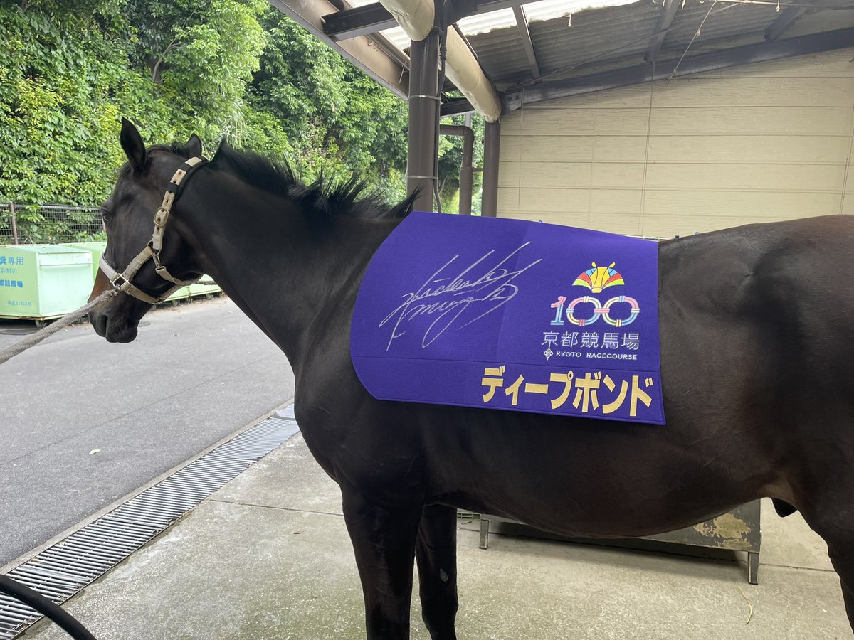 🎁#京都競馬場 100周年プレゼント企画🎁 本年度から新しく京都競馬場の