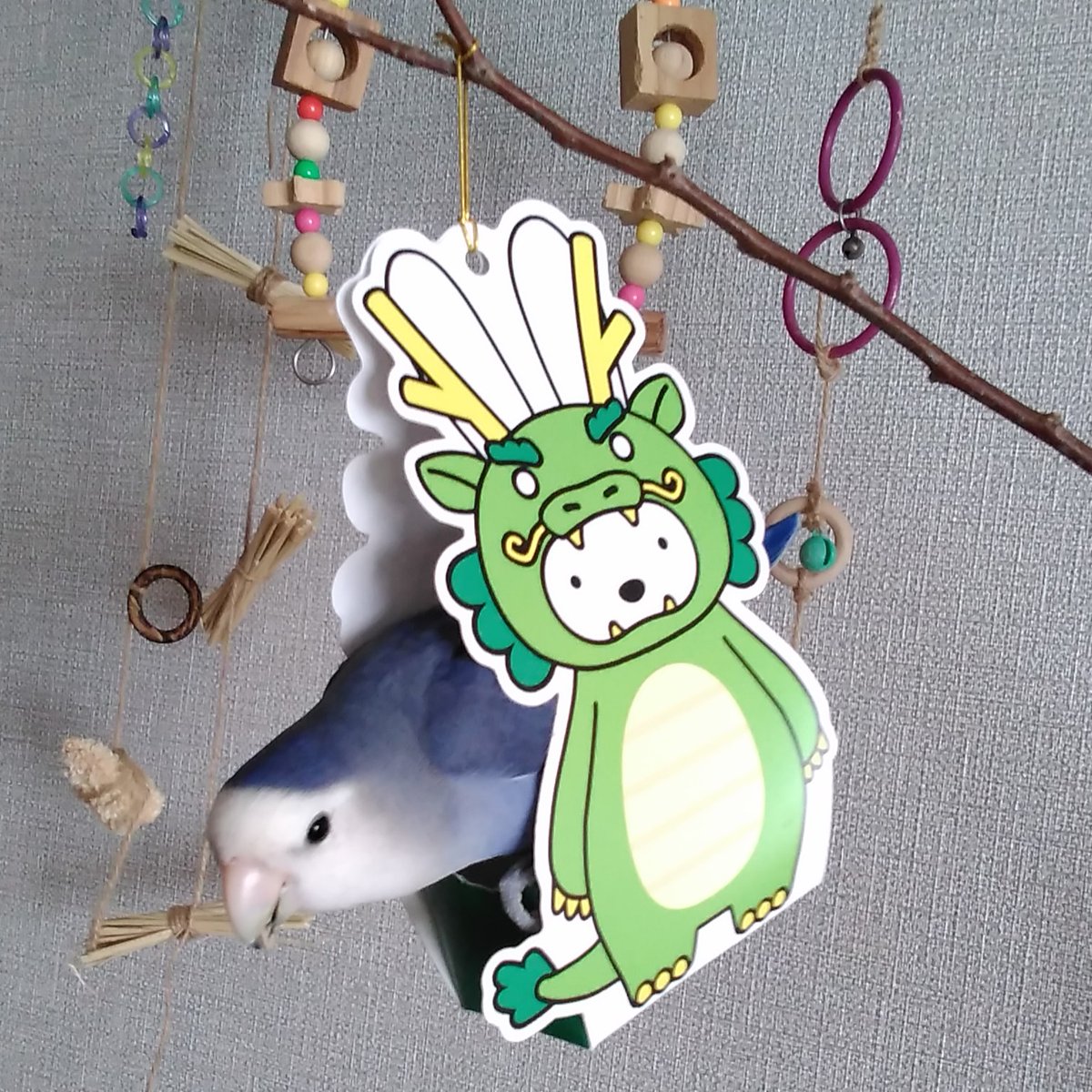 むこうちゃん (@mukouchan4) / Posts / X