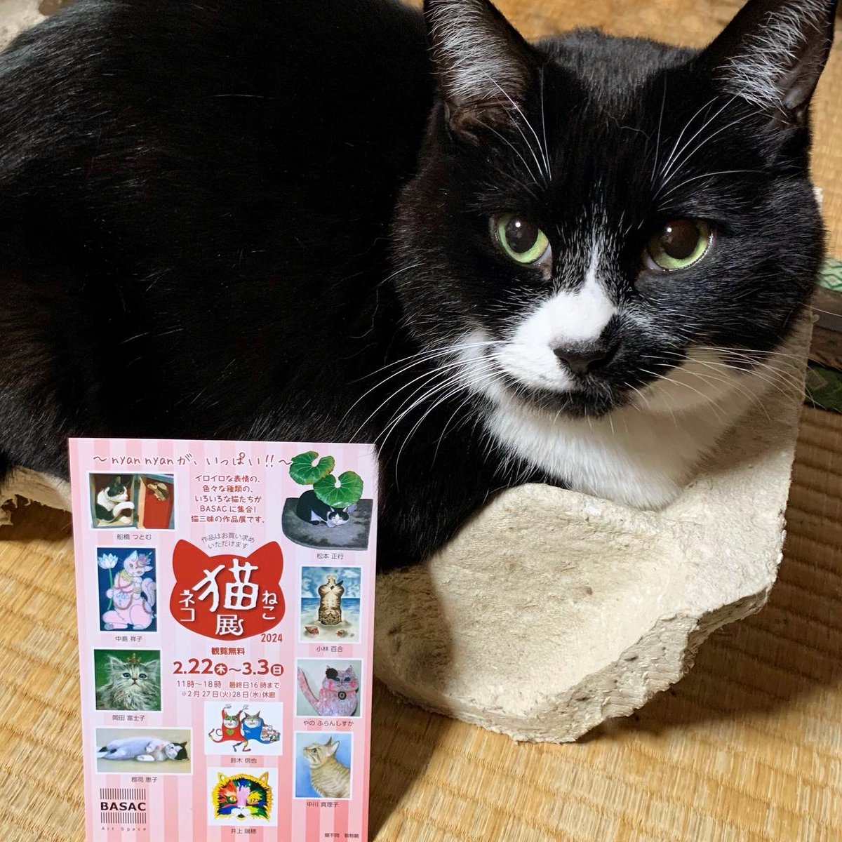 猫六堂＊鈴木信也 (@nekorokudou) / Posts / X