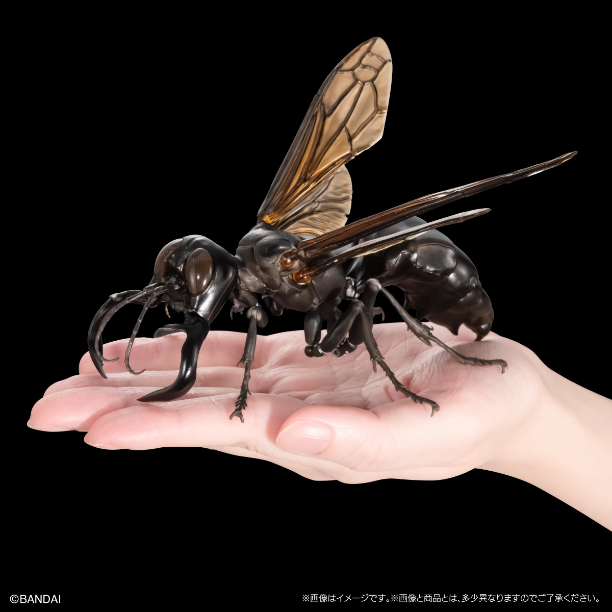 幻の蜂「メガララ・ガルーダ」がガシャポンに登場！ 「いきもの大図鑑