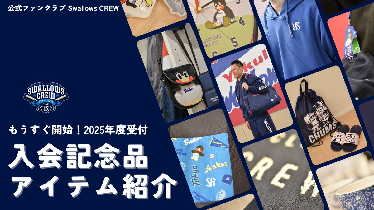 公式ファンクラブ Swallows CREW 2025年度の情報を公開✨ ＼ WEB入会