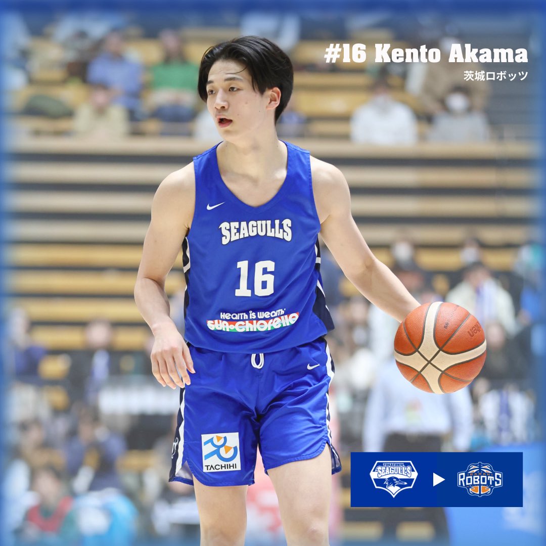 東海大学男子バスケットボール部 (@TOKAI_SEAGULLS_) / Posts / X