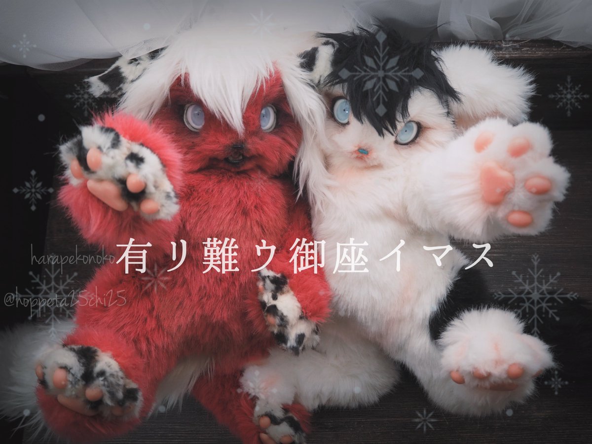 ハラペコ様 ヒヨコ アートドール ハラペコ (@hoppeta25chi25) / Posts / X