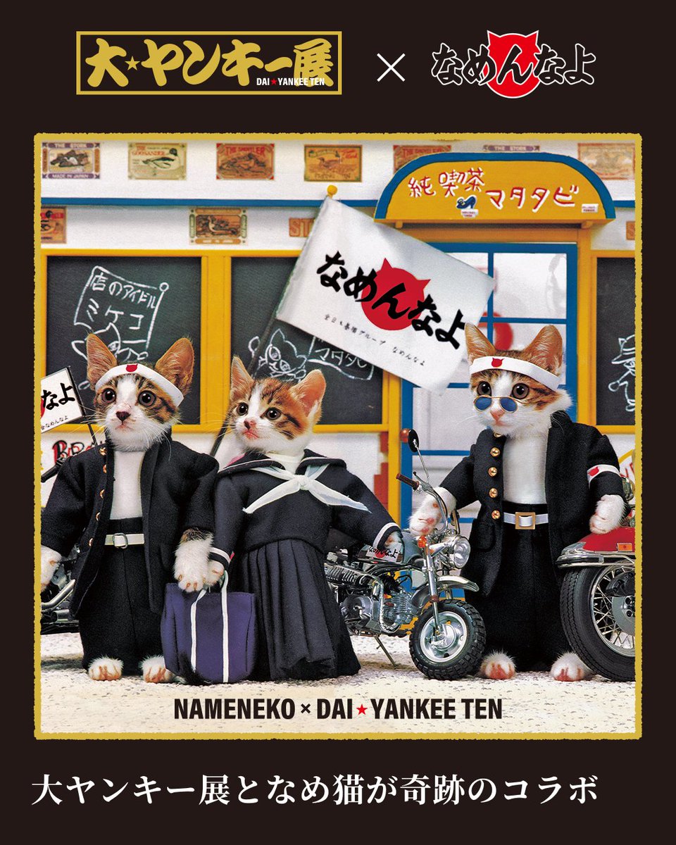 元祖なめ猫公式アカウント (@reiwa_nameneko) / Posts / X