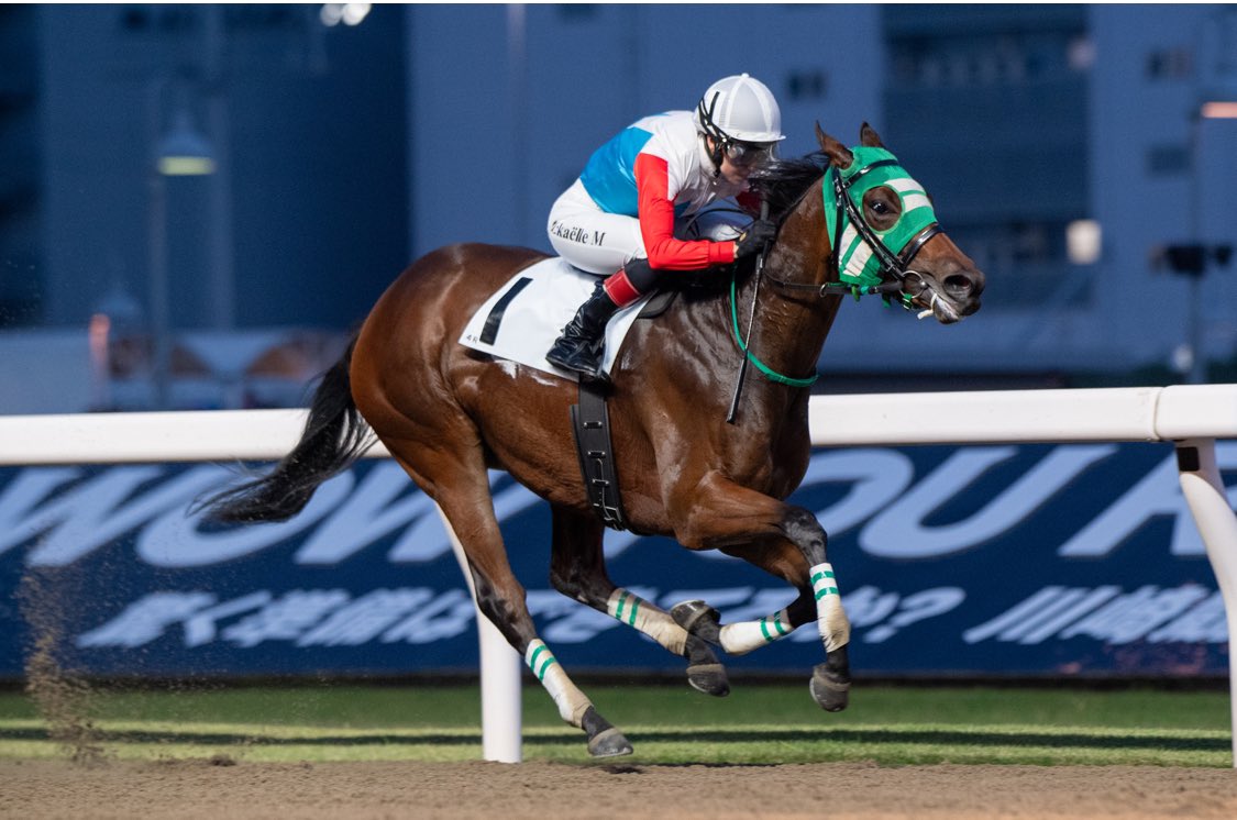 ミカエル・ミシェル 直筆サイン付き写真 南関東競馬 JRA 証明書付き1枚
