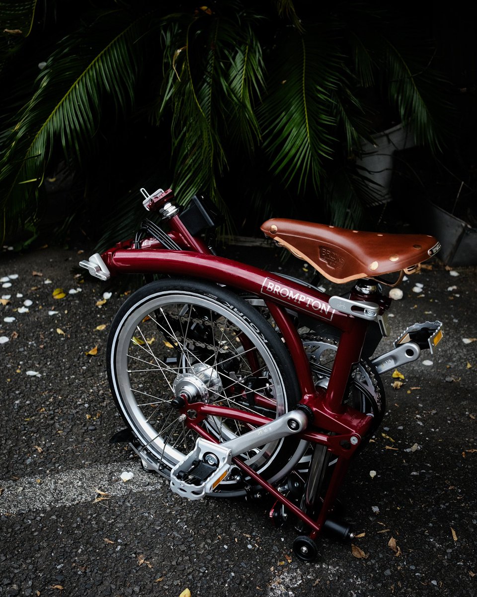 Classic Edition - Oxblood Red 豊かな温もりと深みを持つオックス