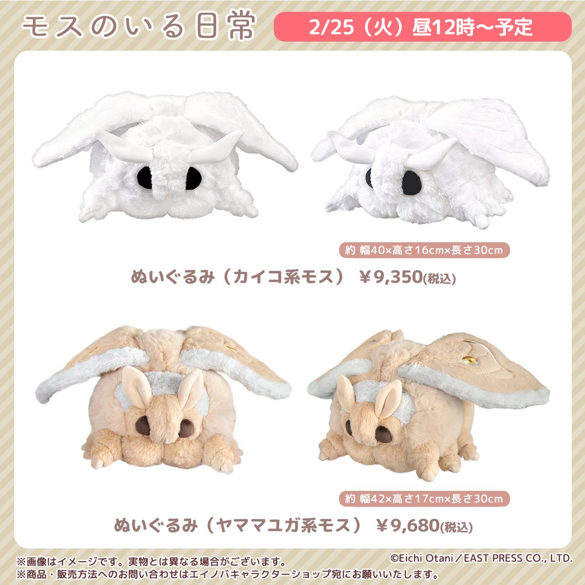 大変お待たせいたしました。 リアルモスぬいぐるみがとうとう予約なし